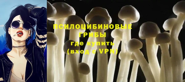 Альфа ПВП Баксан