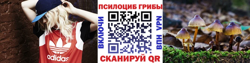 Галлюциногенные грибы Cubensis  Ужур 