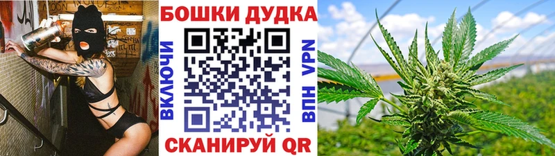 как найти   Ужур  Бошки марихуана гибрид 